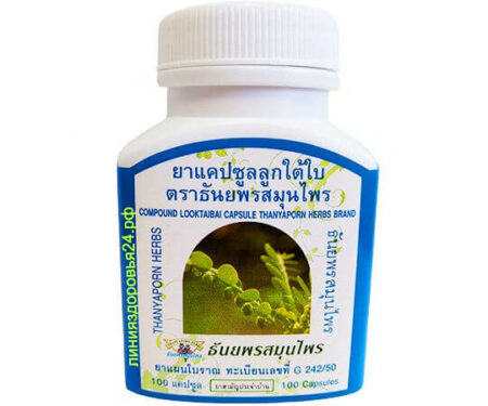 чанка пьедра, Phyllanthus niruri