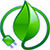 натуральные средства ДЛЯ ЭНЕРГИИ И ТОНУСА организма products FOR ENERGY AND TONE