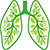 натуральные средства от астмы, туберкулеза remedies for asthma