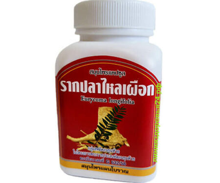 eurycoma longifolia. Tongkat ali