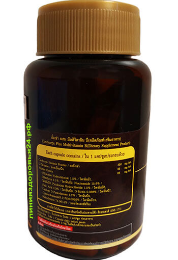 кордицепс китайский военный cordyceps кордицепс cordyceps капсулы