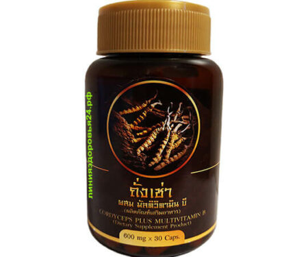 Cordyceps
