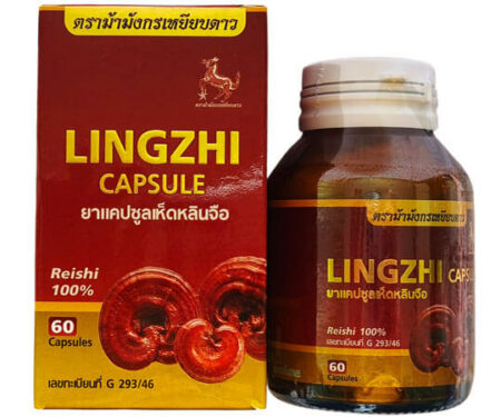 гриб Линчжи. Рейши